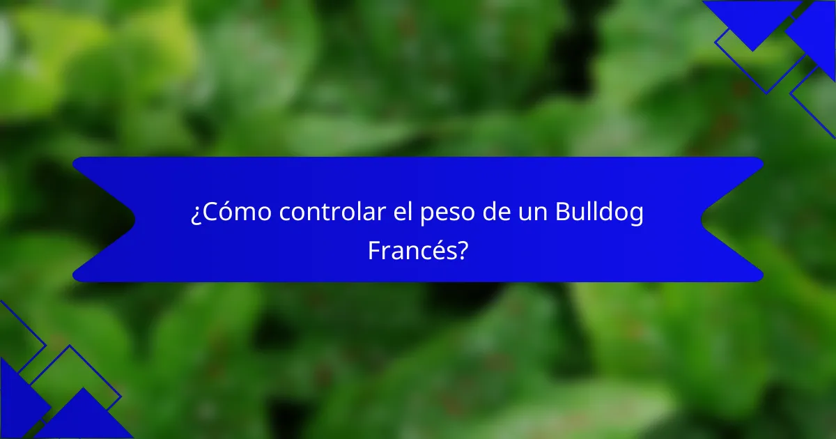 ¿Cómo controlar el peso de un Bulldog Francés?
