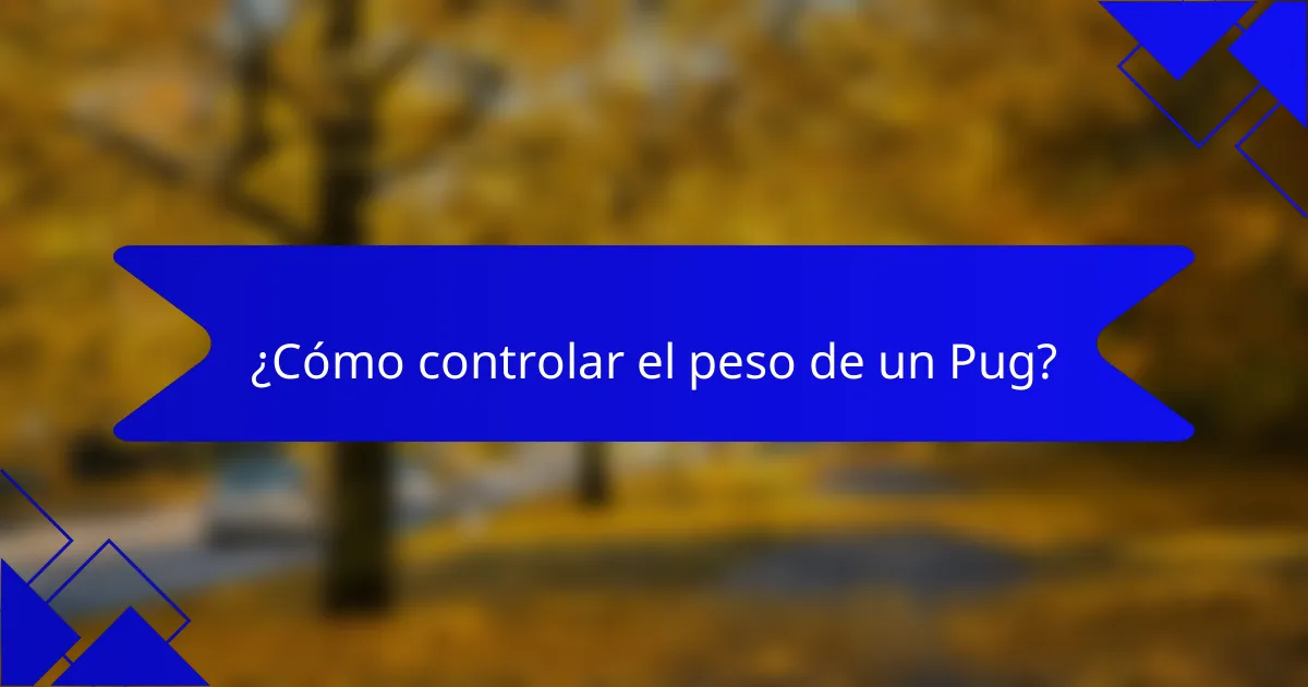 ¿Cómo controlar el peso de un Pug?