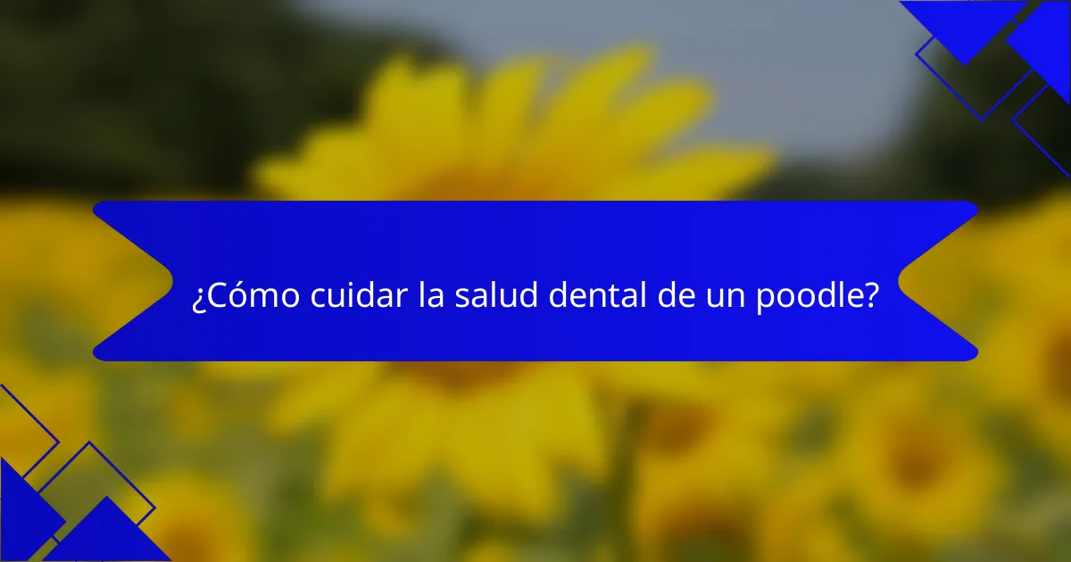 ¿Cómo cuidar la salud dental de un poodle?
