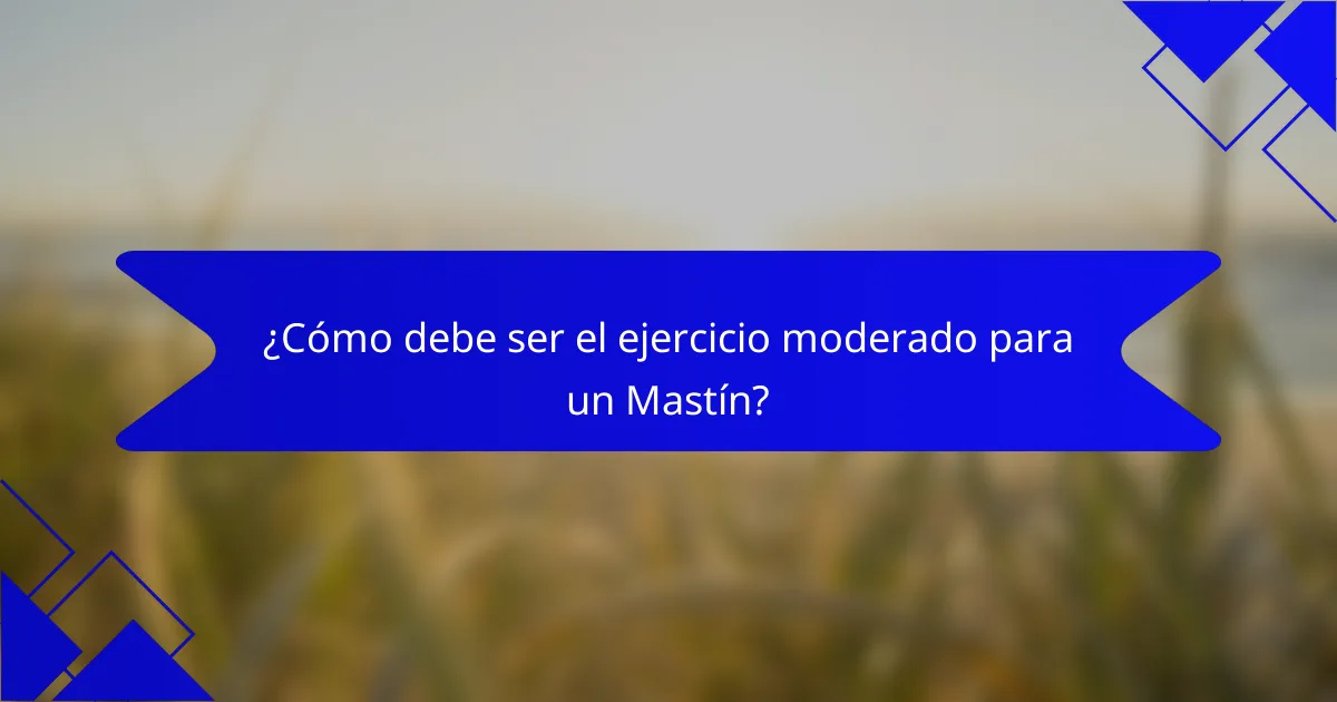 ¿Cómo debe ser el ejercicio moderado para un Mastín?