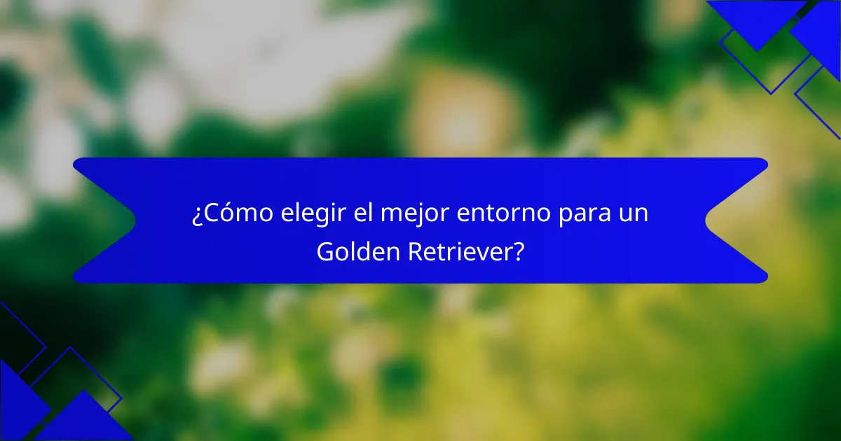 ¿Cómo elegir el mejor entorno para un Golden Retriever?