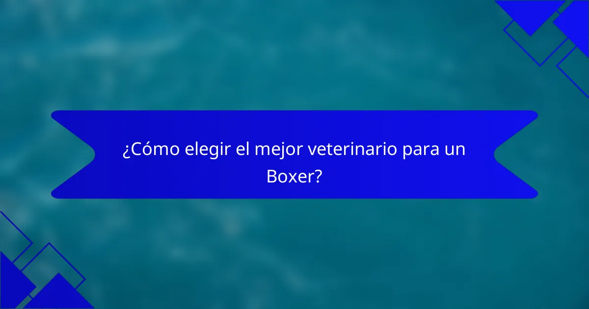 ¿Cómo elegir el mejor veterinario para un Boxer?