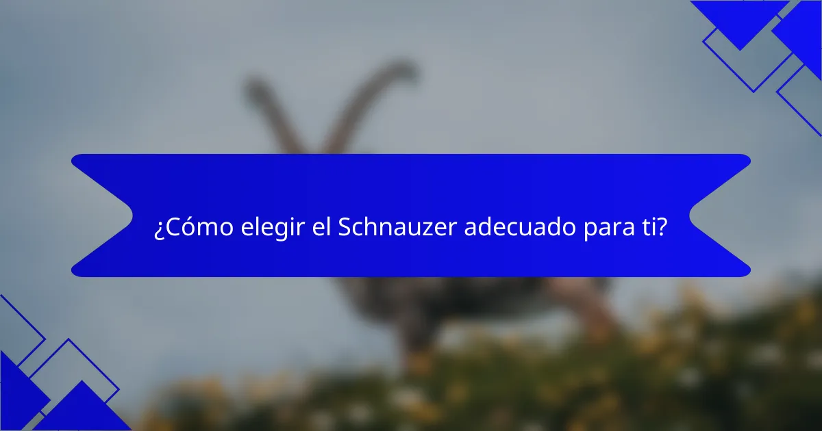 ¿Cómo elegir el Schnauzer adecuado para ti?