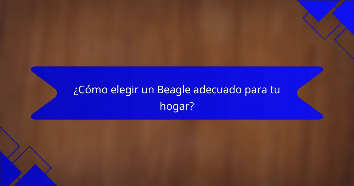 ¿Cómo elegir un Beagle adecuado para tu hogar?