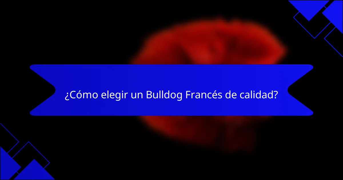 ¿Cómo elegir un Bulldog Francés de calidad?