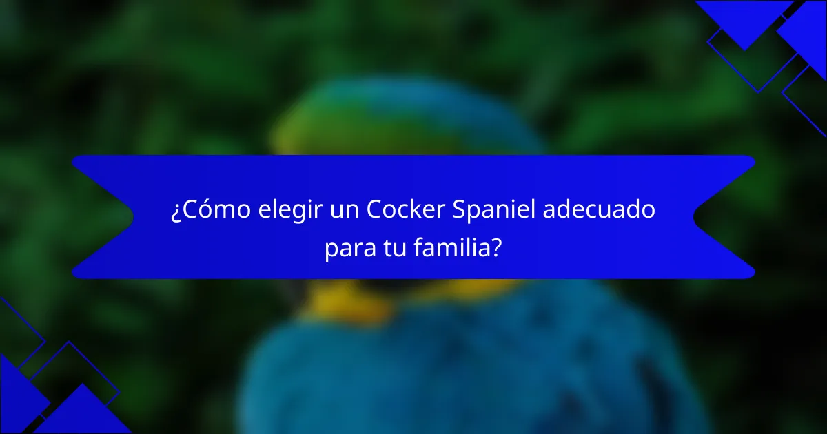¿Cómo elegir un Cocker Spaniel adecuado para tu familia?