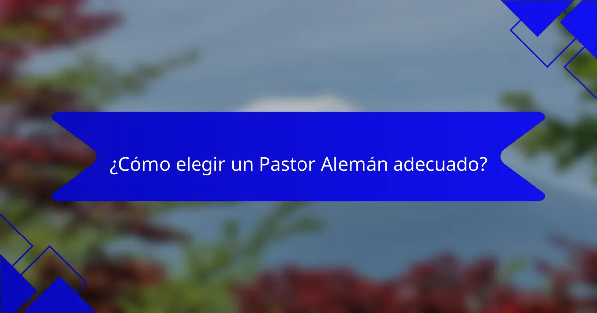 ¿Cómo elegir un Pastor Alemán adecuado?