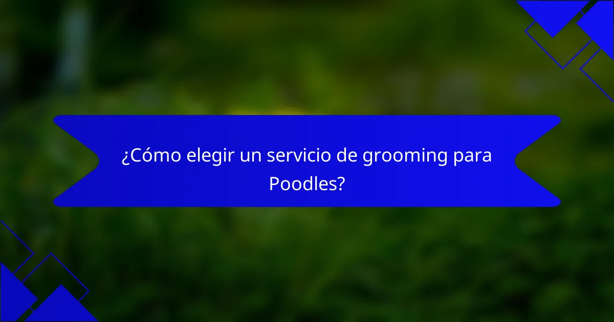 ¿Cómo elegir un servicio de grooming para Poodles?