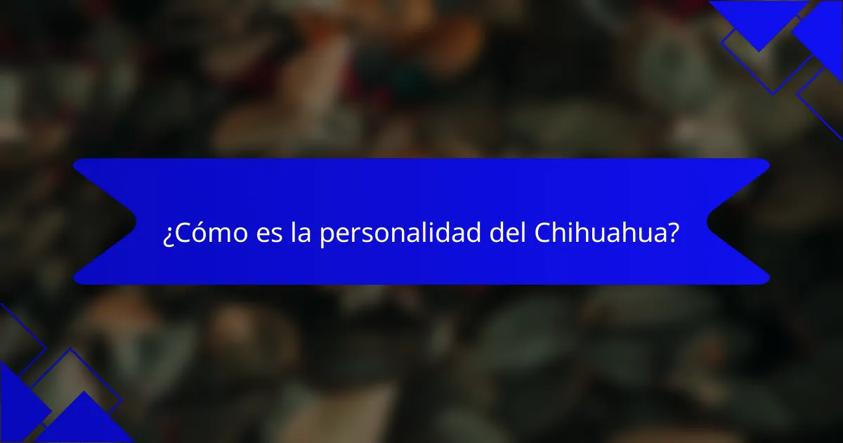 ¿Cómo es la personalidad del Chihuahua?