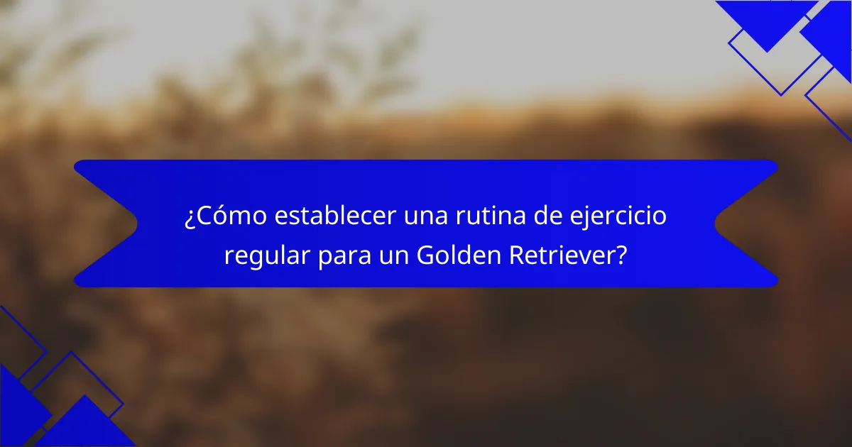 ¿Cómo establecer una rutina de ejercicio regular para un Golden Retriever?
