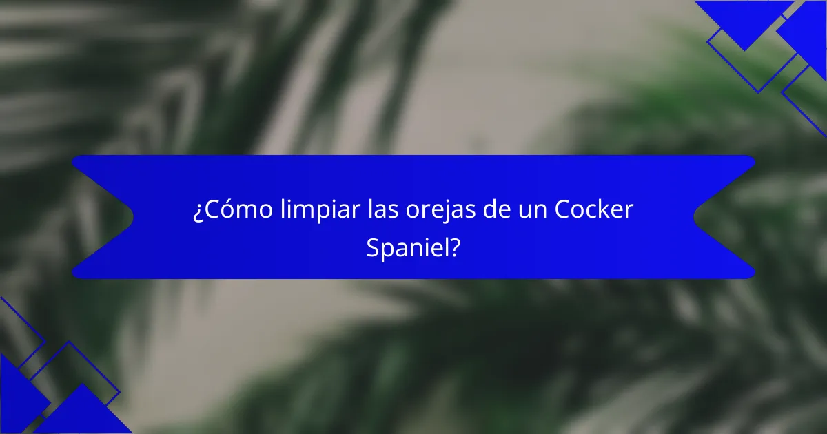 ¿Cómo limpiar las orejas de un Cocker Spaniel?
