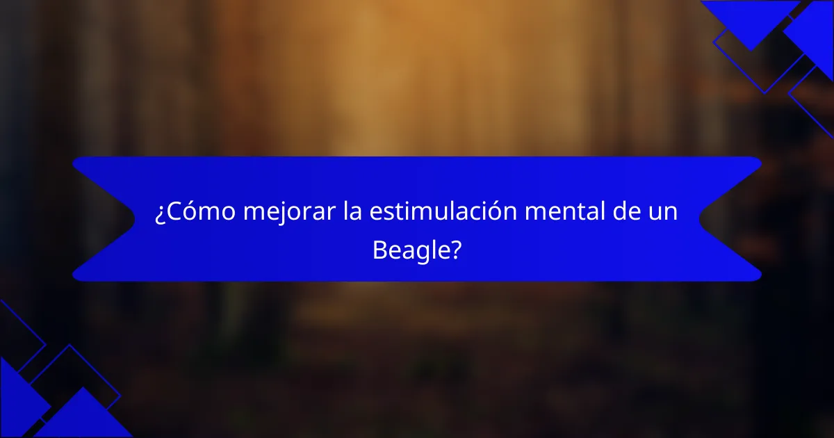 ¿Cómo mejorar la estimulación mental de un Beagle?