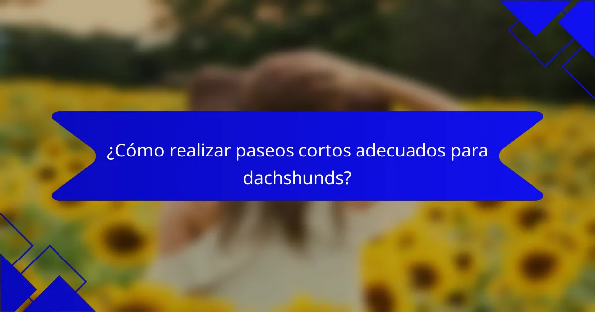¿Cómo realizar paseos cortos adecuados para dachshunds?