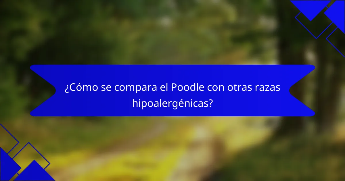 ¿Cómo se compara el Poodle con otras razas hipoalergénicas?