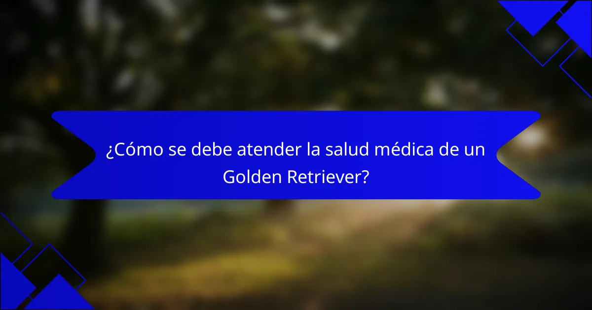 ¿Cómo se debe atender la salud médica de un Golden Retriever?