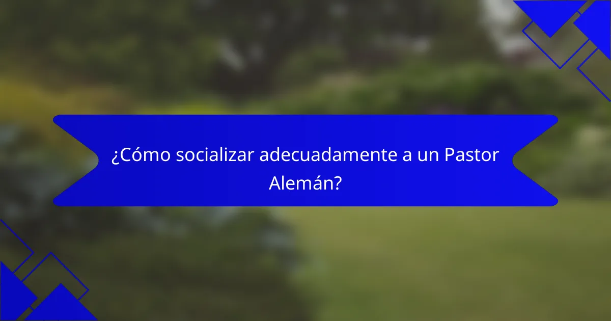 ¿Cómo socializar adecuadamente a un Pastor Alemán?
