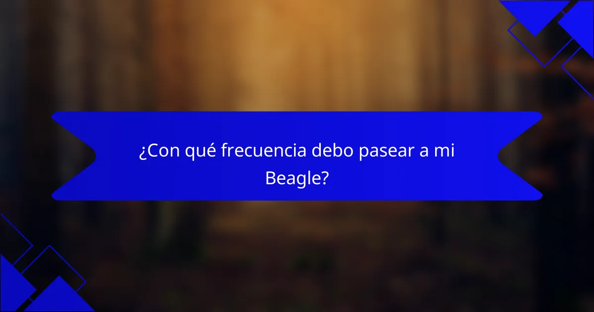 ¿Con qué frecuencia debo pasear a mi Beagle?