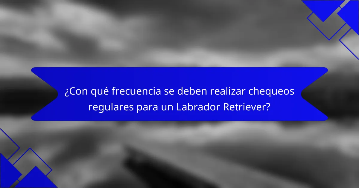 ¿Con qué frecuencia se deben realizar chequeos regulares para un Labrador Retriever?