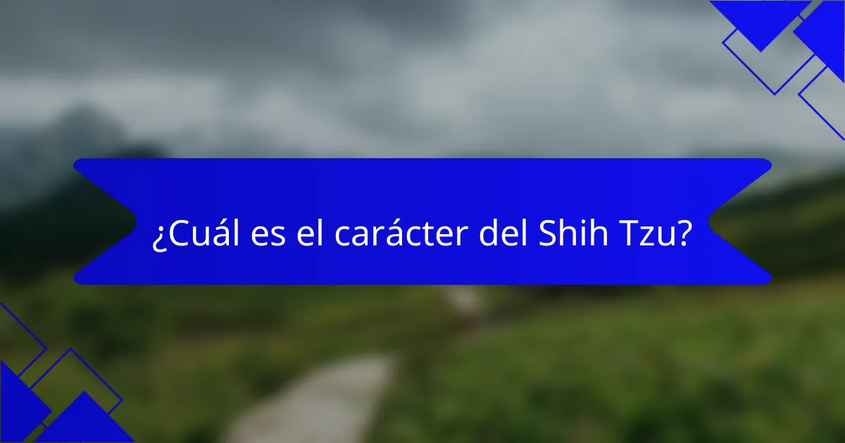 ¿Cuál es el carácter del Shih Tzu?