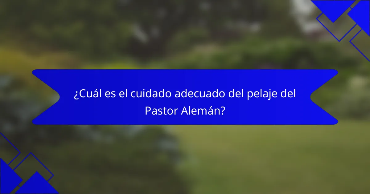 ¿Cuál es el cuidado adecuado del pelaje del Pastor Alemán?