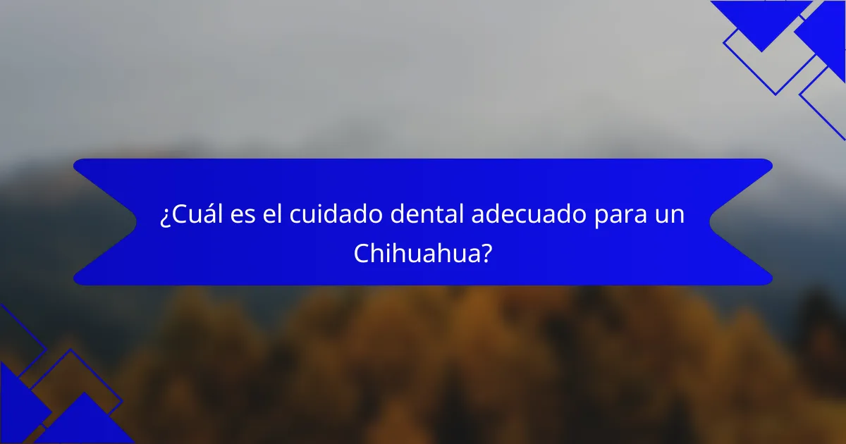 ¿Cuál es el cuidado dental adecuado para un Chihuahua?