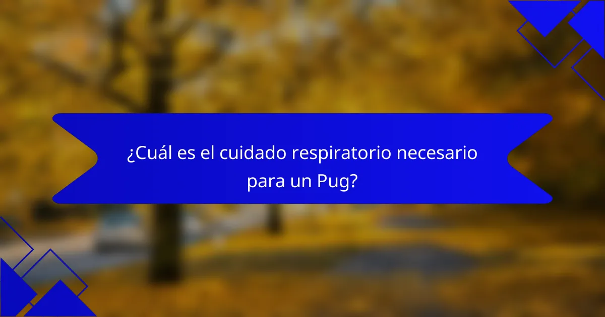 ¿Cuál es el cuidado respiratorio necesario para un Pug?