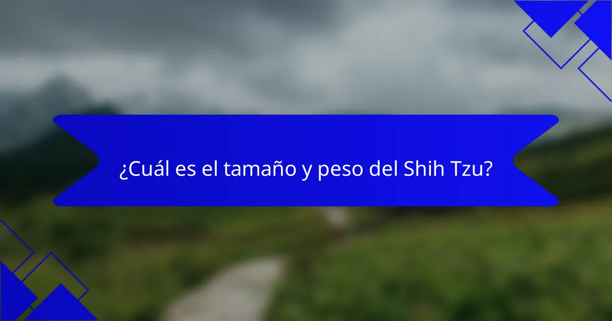 ¿Cuál es el tamaño y peso del Shih Tzu?