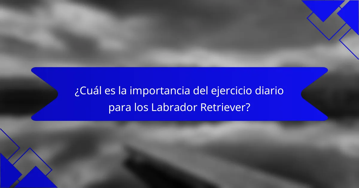 ¿Cuál es la importancia del ejercicio diario para los Labrador Retriever?