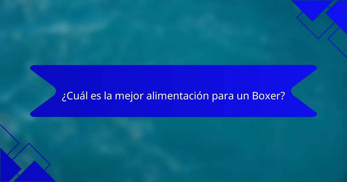 ¿Cuál es la mejor alimentación para un Boxer?