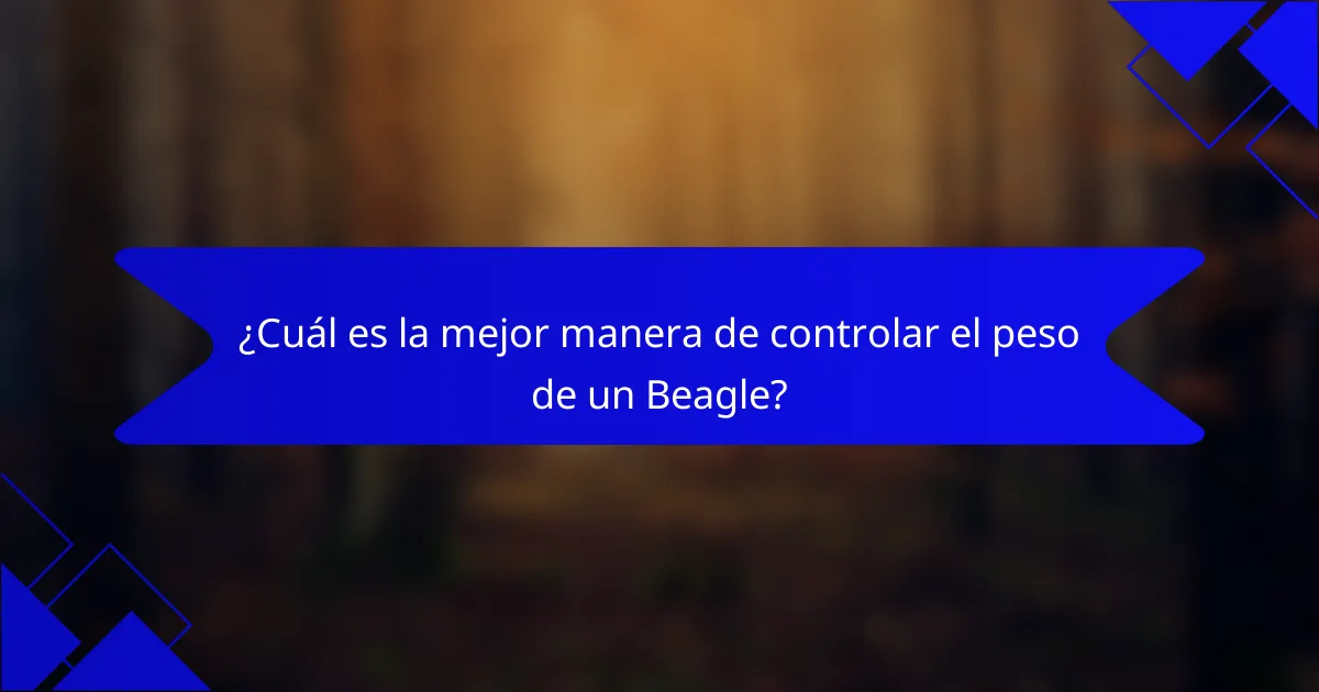 ¿Cuál es la mejor manera de controlar el peso de un Beagle?