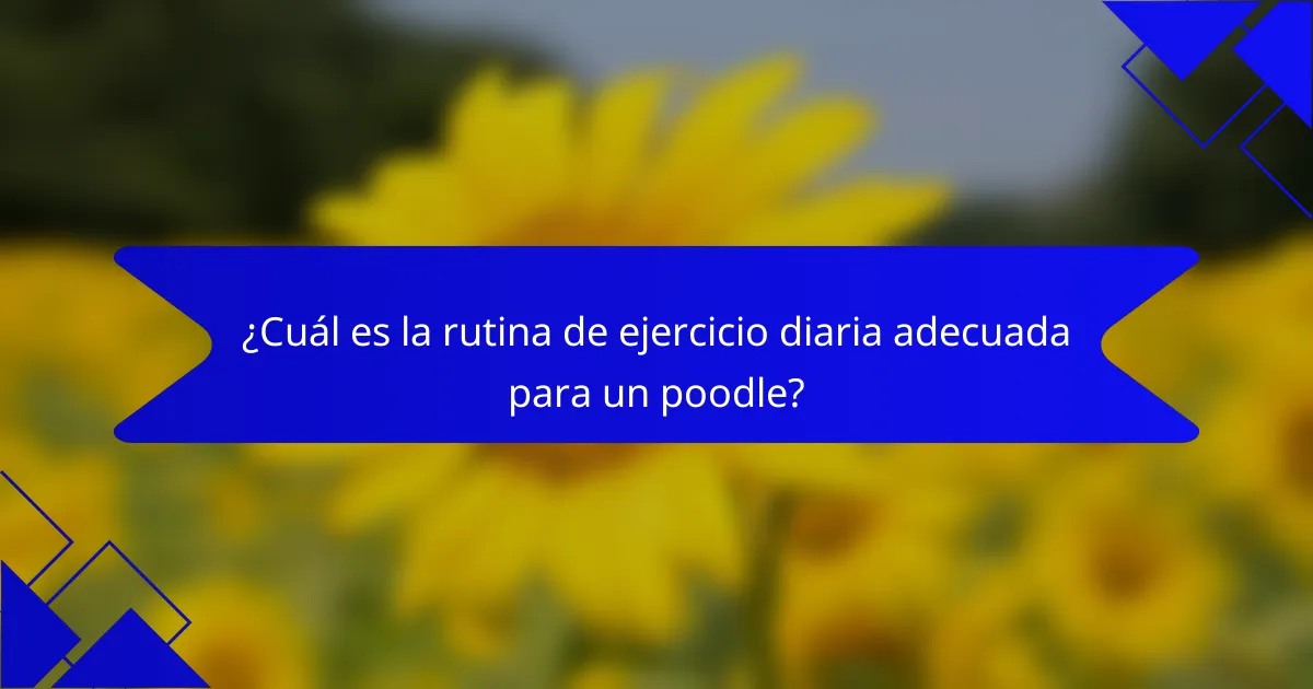 ¿Cuál es la rutina de ejercicio diaria adecuada para un poodle?
