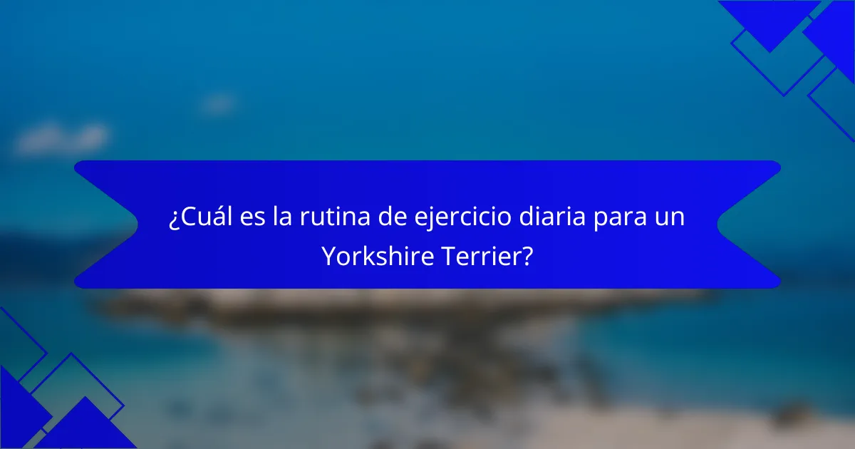 ¿Cuál es la rutina de ejercicio diaria para un Yorkshire Terrier?