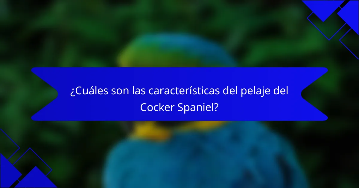 ¿Cuáles son las características del pelaje del Cocker Spaniel?