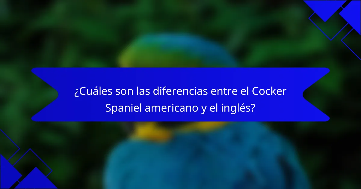 ¿Cuáles son las diferencias entre el Cocker Spaniel americano y el inglés?