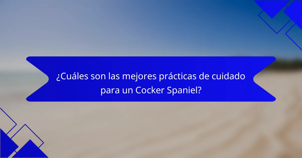 ¿Cuáles son las mejores prácticas de cuidado para un Cocker Spaniel?