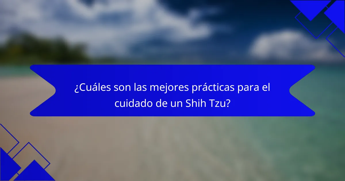¿Cuáles son las mejores prácticas para el cuidado de un Shih Tzu?