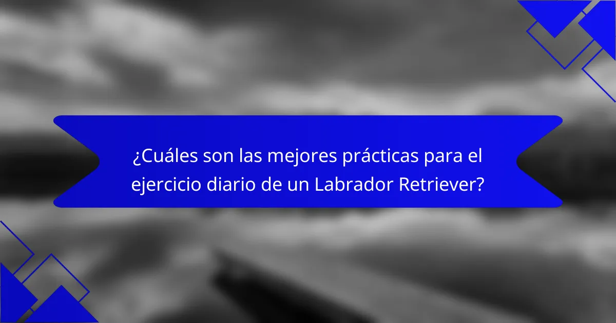 ¿Cuáles son las mejores prácticas para el ejercicio diario de un Labrador Retriever?