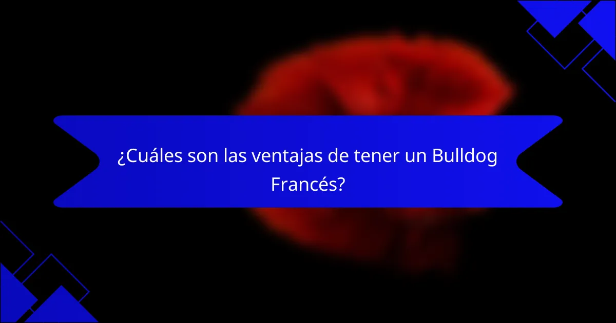 ¿Cuáles son las ventajas de tener un Bulldog Francés?
