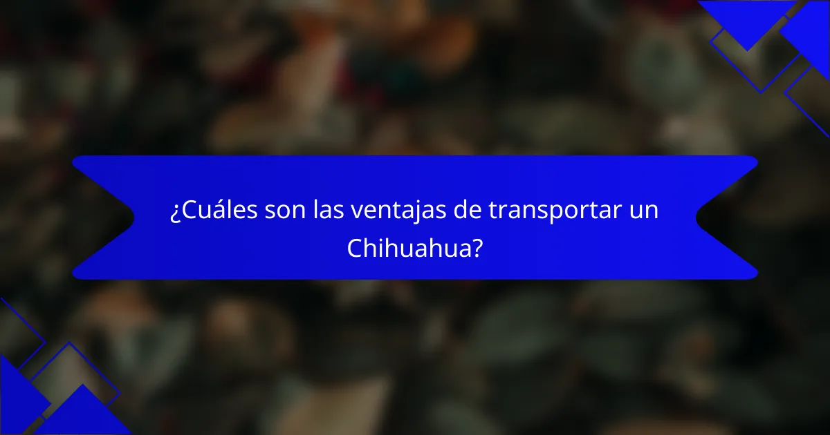 ¿Cuáles son las ventajas de transportar un Chihuahua?