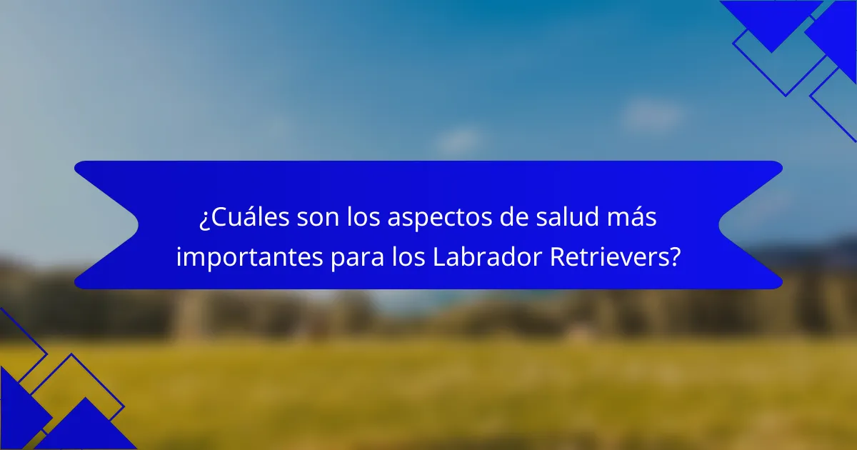 ¿Cuáles son los aspectos de salud más importantes para los Labrador Retrievers?