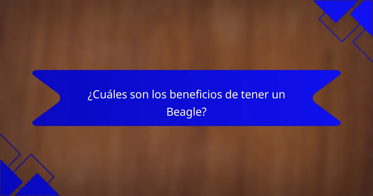 ¿Cuáles son los beneficios de tener un Beagle?