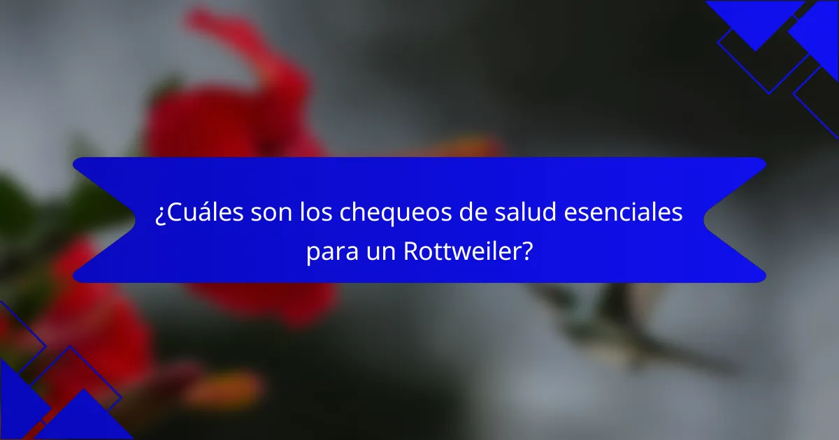 ¿Cuáles son los chequeos de salud esenciales para un Rottweiler?