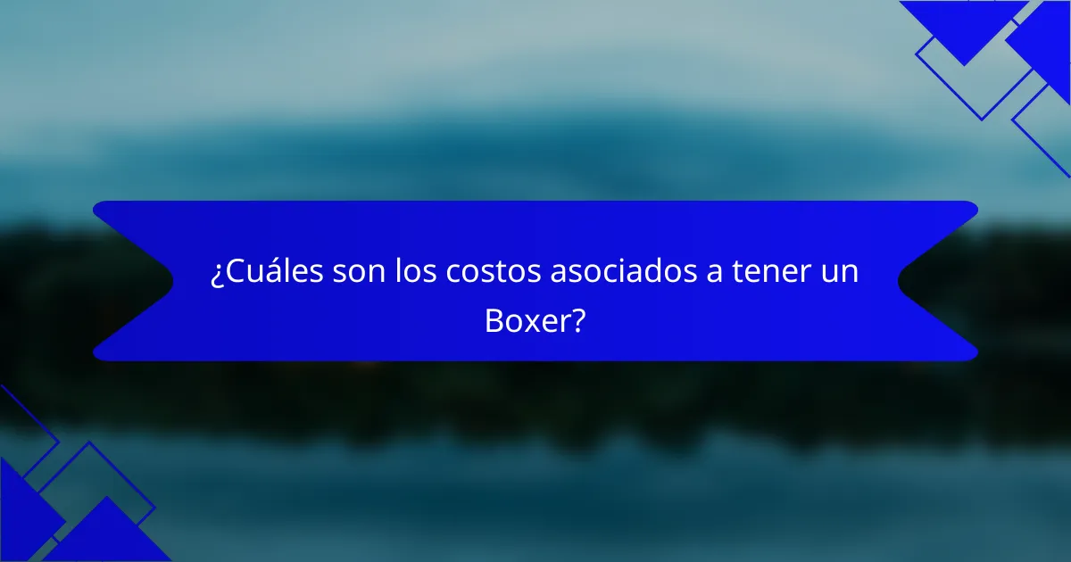 ¿Cuáles son los costos asociados a tener un Boxer?