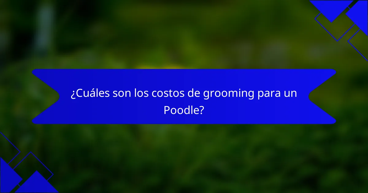 ¿Cuáles son los costos de grooming para un Poodle?