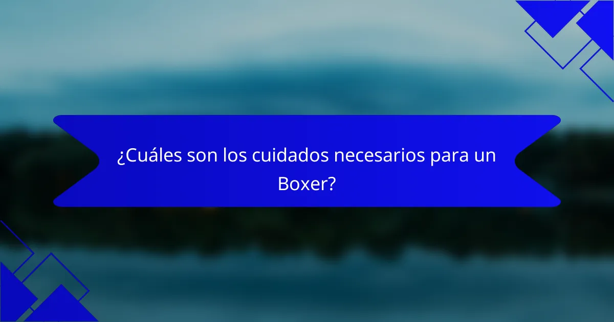 ¿Cuáles son los cuidados necesarios para un Boxer?