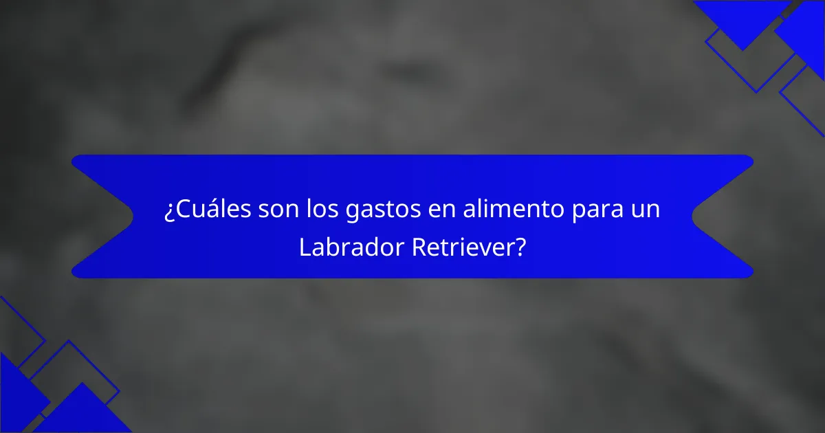 ¿Cuáles son los gastos en alimento para un Labrador Retriever?