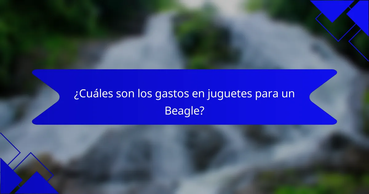 ¿Cuáles son los gastos en juguetes para un Beagle?