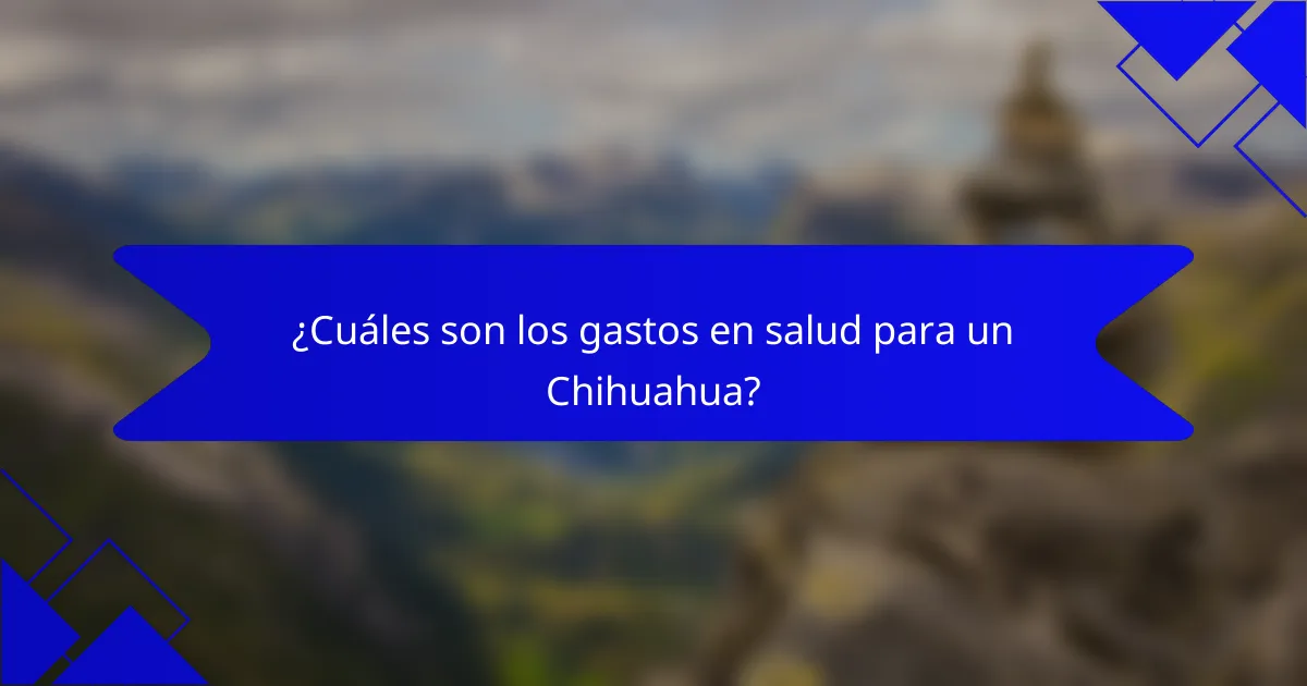 ¿Cuáles son los gastos en salud para un Chihuahua?