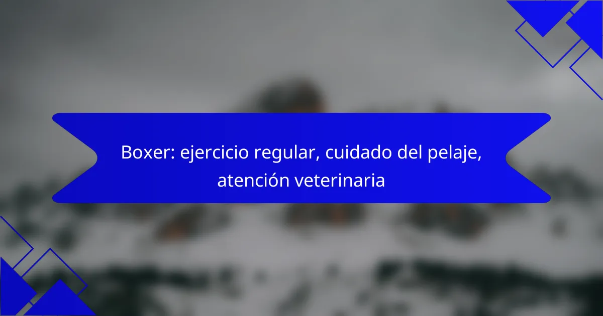 Boxer: ejercicio regular, cuidado del pelaje, atención veterinaria