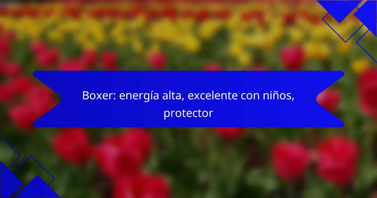 Boxer: energía alta, excelente con niños, protector